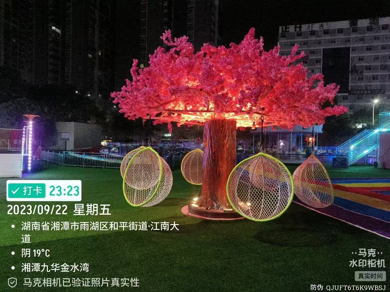 Internet celebrity tree