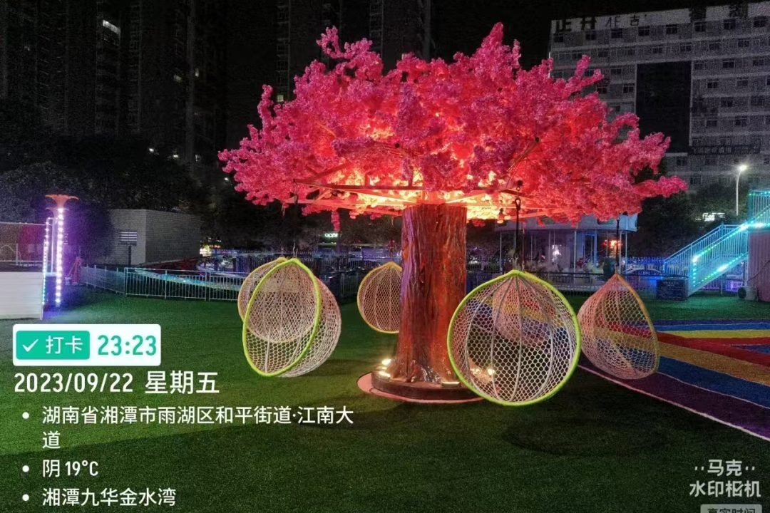 Internet celebrity tree